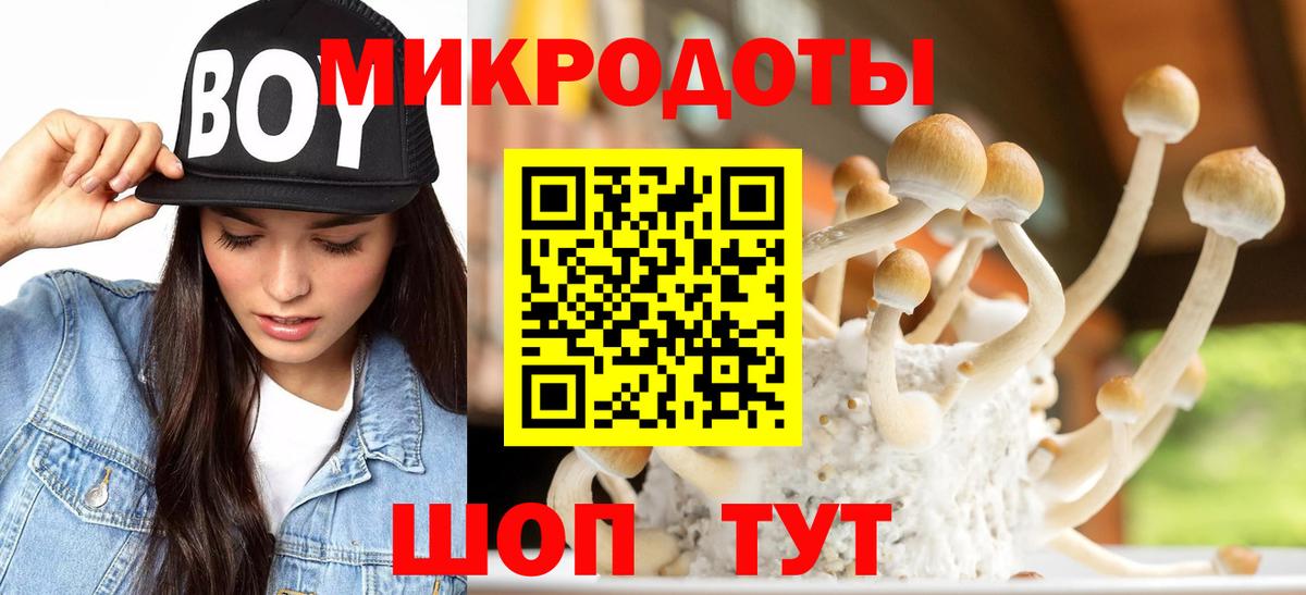 Галлюциногенные грибы Psilocybine cubensis  Вход с VPN  Заинск 